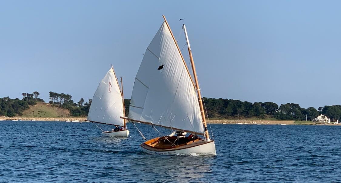 Two catboats sailing towards the photographer