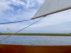 The view from a catboat, sailing past some seagrass. Another catboat is sailing through the grass, towards the horizon.